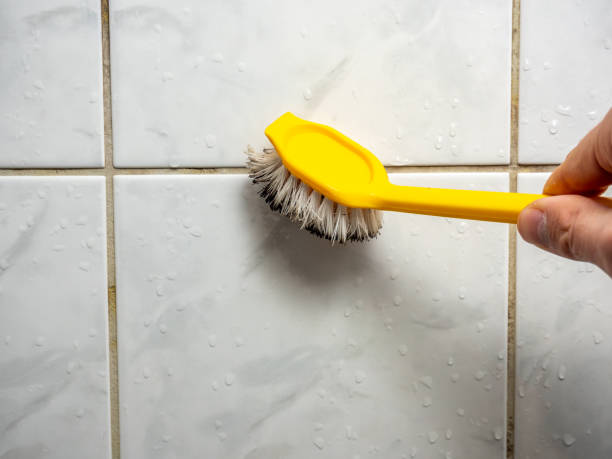 Best Mold Removal Near Me  in Lwa, CA