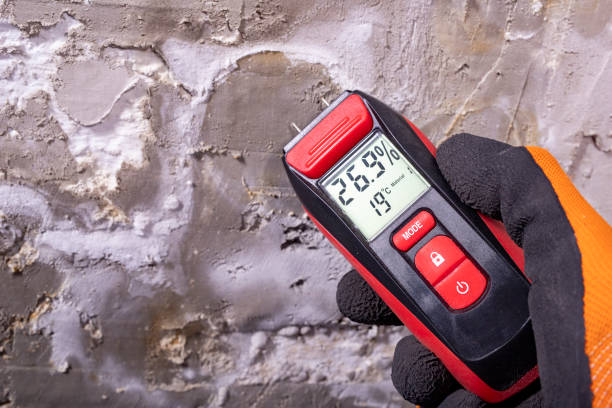 Professional Mold Removal in Calwa, CA